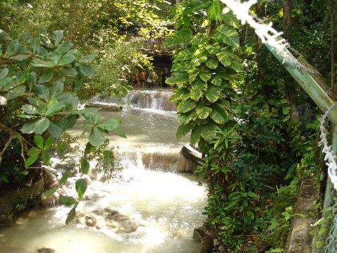 copyright 2005 - 2006 Stephanie Edwards